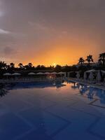 Luxury resort pool at sunset with palm trees photo