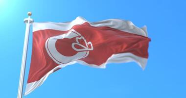 Flag of the city of Calgary in Alberta, Canada. Loop video