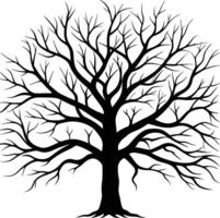 Silhouette of a large leafless tree with twisted and spreading branches black illustration representing nature winter or eerie white background themes on a plain vector