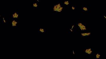Smooth Falling Leaves - Loopable Stock Animation video