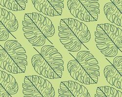 Monstera green leaf botanical plant line art pattern background layout banner packaging textile paper print art editable vector