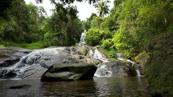 A medium shot captures a scenic waterfall cascading down moss-covered rocks into a calm stream, surrounded by dense, vibrant green tropical rainforest vegetation including tall trees and a palm tree video