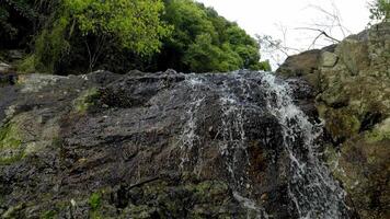 A close-up shot focuses on water gushing and cascading down a dark, rugged, moss-covered rocky cliff face, surrounded by vibrant green foliage and trees at the top. The dynamic movement of the water video