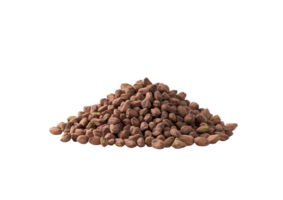 Pile of Brown Roasted Coffee Beans with a Rich Texture. Isolated on a Transparent Background png