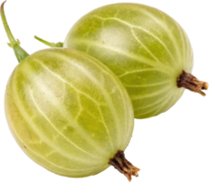 Two plump green gooseberries a tart and juicy fruit commonly used in jams pies and other culinary applications png