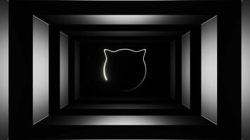 White Strobe Cat Face Background VJ Loop in 4K video