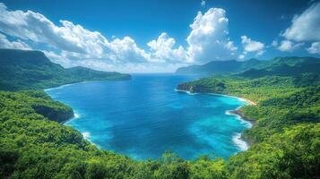 Tropical bay, lush coast, blue ocean, sunny sky, travel paradise photo
