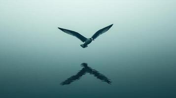 A seagull flying over the water with its wings spread photo