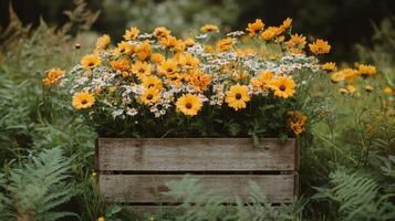 A wooden crate filled with yellow flowers photo