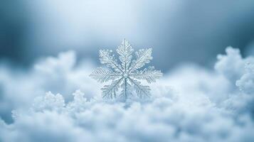 Single snowflake in snow, winter scene, holiday card photo