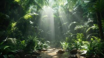 Sunbeams in lush rainforest tranquil stream, dense foliage photo
