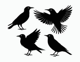 Common Starling Silhouette EPS Design Template vector