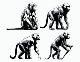 Abstract Baboon Silhouette EPS Template Illustration vector