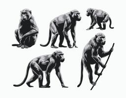 Versatile Baboon Silhouette Isolated Template Collection vector