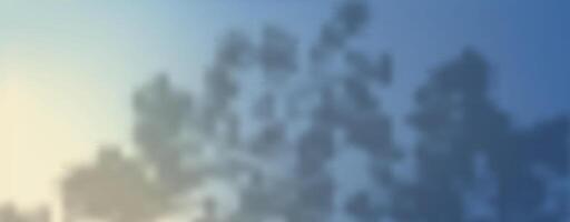 A blurry image of a tree in the sky vector