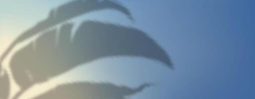 A bird flying in the sky with a blue background vector