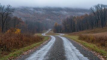 A road with a foggy sky and trees photo