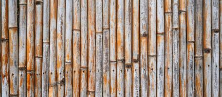bamboo dry fence background texture with pattern photo