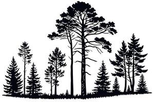 Black and white illustration of coniferous trees, showcasing a serene and simplistic outdoor landscape vector