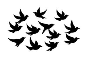 A dynamic group of flying birds in a creative silhouette style, perfect for nature and freedom themes vector