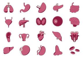 Organ And Body Part Collection Element Set vector