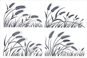 set of wheat field design. vector
