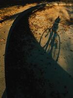 Long shadow of cyclist riding bicycle stretches across pavement adorned with dry autumn leaves, capturing essence of a sunny fall day in a tranquil public park. Cyclist, long shadow, autumn leaves photo
