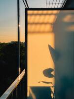 Golden light filtering through frosted glass, casting delicate plant shadows on sleek balcony partition during soft sunset hours, revealing minimalist architectural tranquility. Serene atmosphere photo