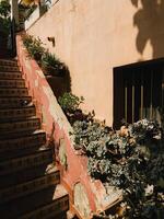 Lush plants thrive in the sunlight near a weathered staircase adorned with traditional tiles, creating a picturesque scene in a Mediterranean setting. Green foliage surrounding weathered stone steps photo