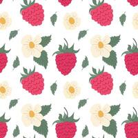 Colorful raspberry and flower pattern on a white background for creative design vector