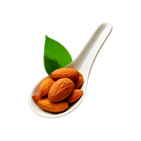 Ceramic spoon of peeled almond nut with green leaf on transparent background png