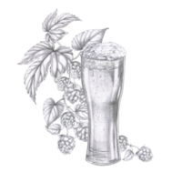 Tall glass of beer on the background of a branch of hops. Isolated pencil illustration for the design of pubs, menus, cookbooks, signs. png
