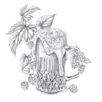 A mug of foamy beer on the background of a branch of hops. Isolated pencil illustration for the design of pubs, menus, cookbooks, signs. png