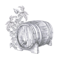 Wooden barrel with tap on the background of hop branch. Isolated pencil illustration for pub design, menu, cookbooks, signs. png