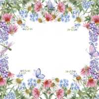 Square frame with echinacea, delphinium and forget-me-not flowers, dragonfly and butterfly. Isolated watercolor illustration of garden flowers for design of cosmetic products, printing on clothes. png