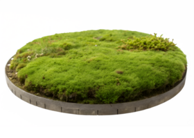 Lush Green Moss Platform with Natural Growth - A round platform entirely covered in soft, vibrant green moss, isolated on a transparent background png