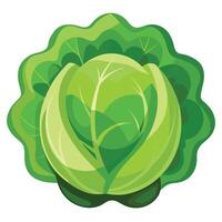 Amusing Cabbage Vegetable Cartoon Illustration for Design Projects vector