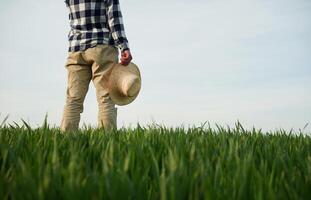 Rear view. Standing and holwing straw hat in hand. Young man is on agricultural field photo
