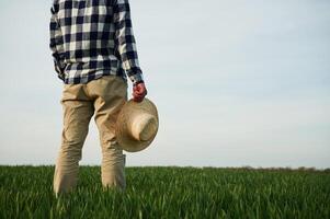 Rear view. Standing and holwing, straw ,hat in hand. Young man is on agricultural field photo