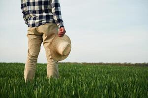 Rear view. Standing and holwing straw hat, in hand. Young man is on agricultural field photo