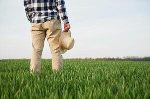 Rear view.. Standing and holwing straw hat in hand. Young man is on agricultural field photo