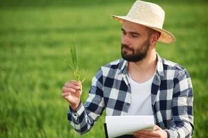 In, straw hat. Holding wheat and notepad. Handsome young man is on agricultural field photo