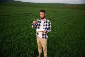 Front view,. Standing a,nd holding notepad with document. Handsome young man is on agricultural field photo