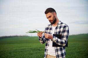 Clear ,,sky. Handsome young man is on agricultural field photo