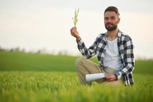 Sunny ,day. Checking quality of wheat. Handsome young man is on agricultural field photo