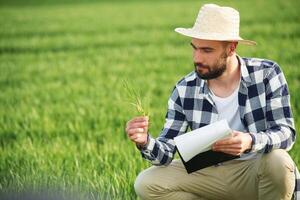 In straw, hat. Holding wheat and notepad. Handsome young man is on agricultural field photo