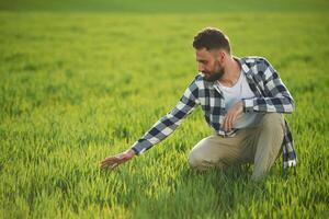 Bearded ,handsome ,young man in checkered shirt is on agricultural field photo