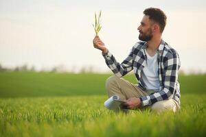 Handsome, young, man ,is, on agricultural field photo
