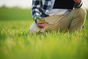 Male worker in checkered shirt is on agricultural field photo