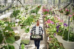 Many of the flowers. Man is working in garden center. Successful employee is in a bright greenhouse photo